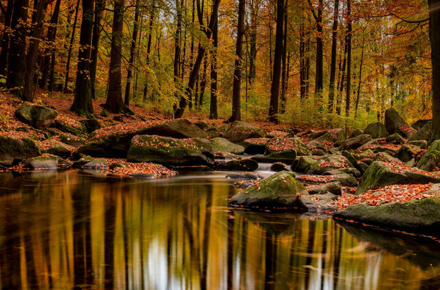 Ein Fluss mit Bäumen und Felsen im Hintergrund